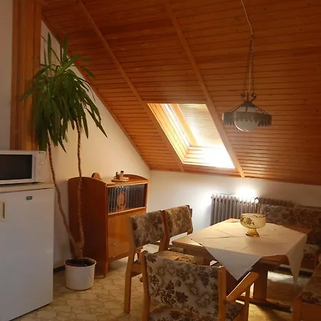 Szalai Vendeghaz Apartment