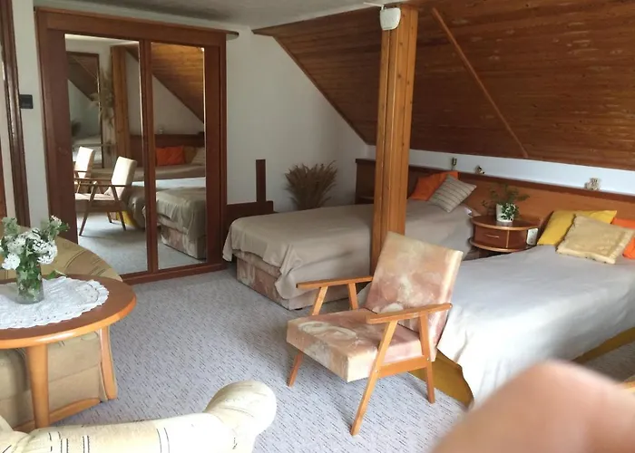 Szalai Vendeghaz アパート