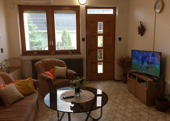 Szalai Vendeghaz チェーセクトマイ