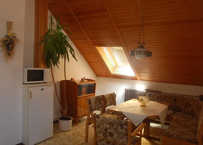 Szalai Vendeghaz アパート