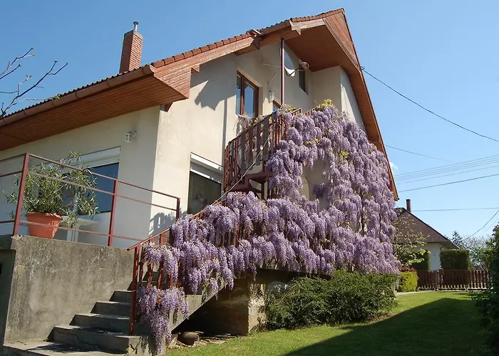 Szalai Vendeghaz アパート *