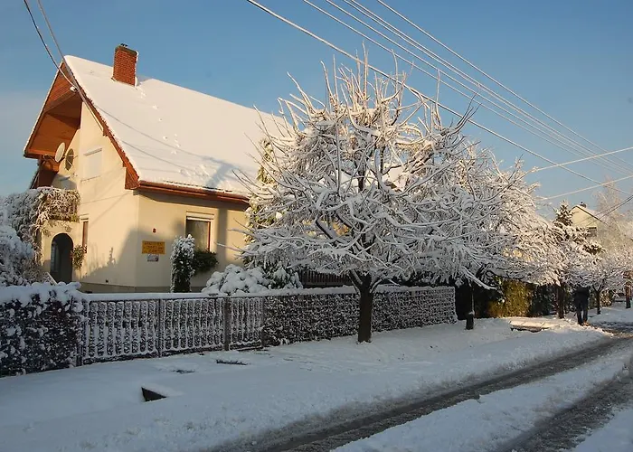 アパート Szalai Vendeghaz チェーセクトマイ